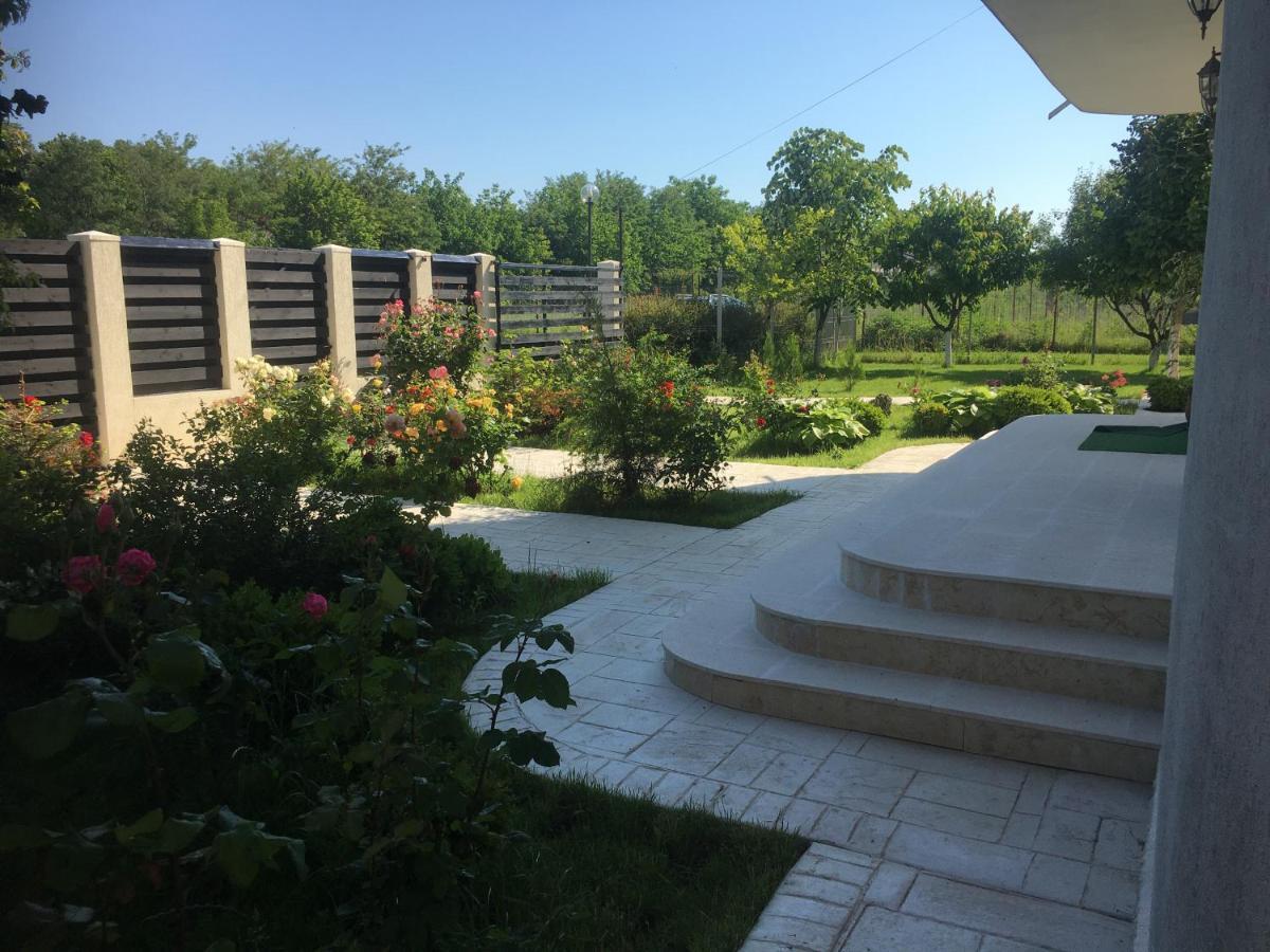 Vila Zoe Bucharestairport&Therme&Parking 오토페니 외부 사진