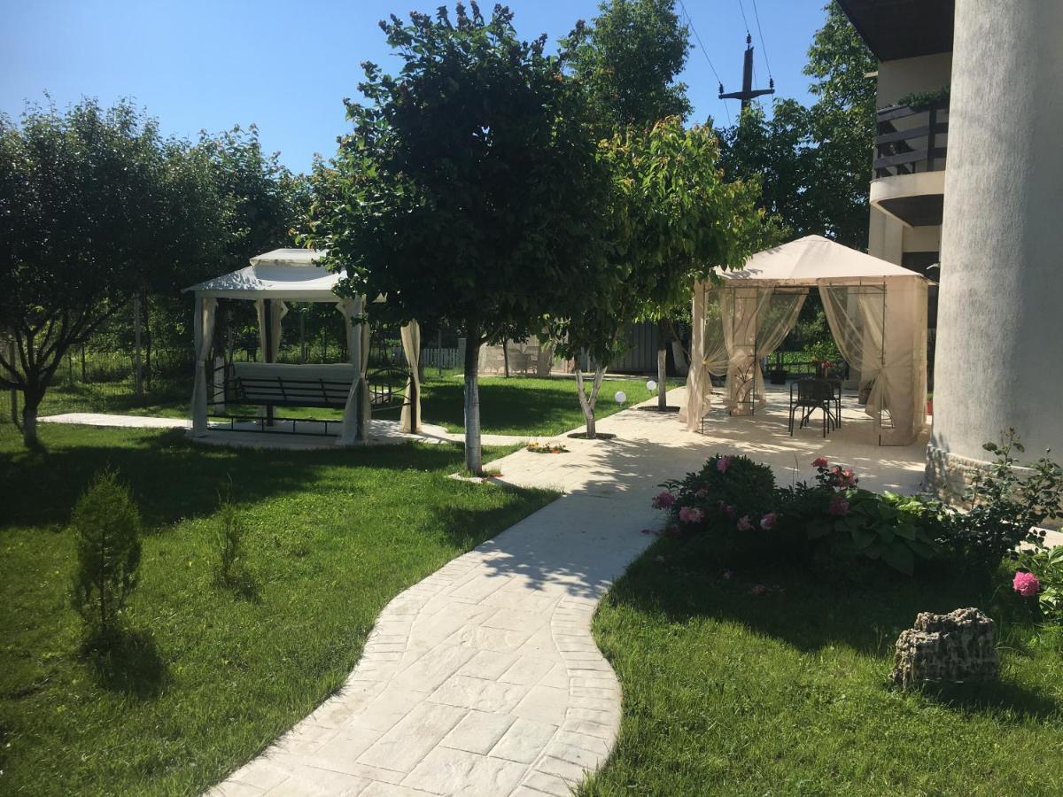 Vila Zoe Bucharestairport&Therme&Parking 오토페니 외부 사진