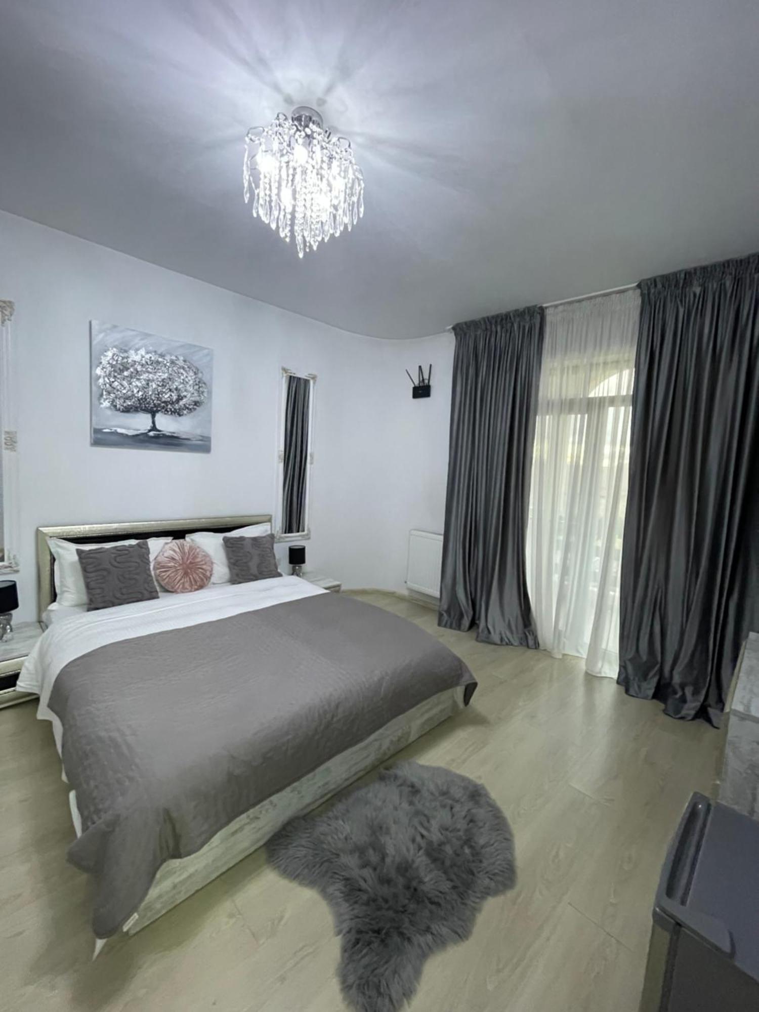 Vila Zoe Bucharestairport&Therme&Parking 오토페니 외부 사진