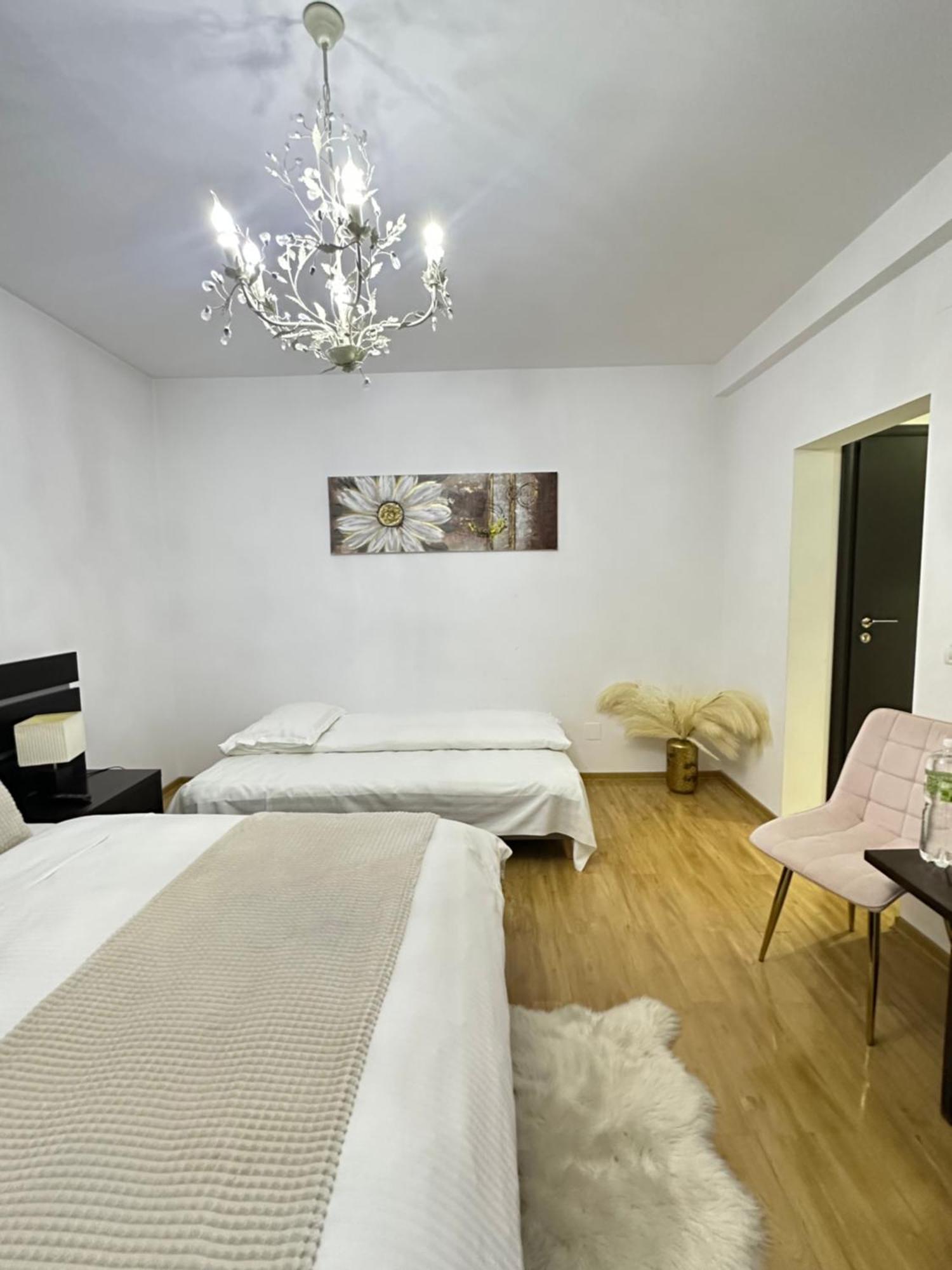 Vila Zoe Bucharestairport&Therme&Parking 오토페니 외부 사진